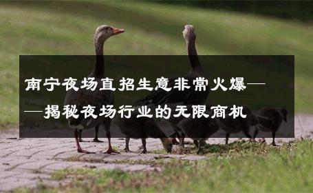 南宁夜场直招生意非常火爆——揭秘夜场行业的无限商机 