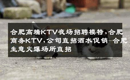 合肥高端KTV夜场招聘模特,合肥商务KTV,公司直招酒水促销-合肥生意火爆场所直招