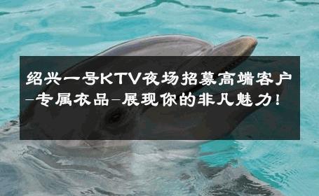 绍兴一号KTV夜场招募高端客户-专属衣品-展现你的非凡魅力！ 