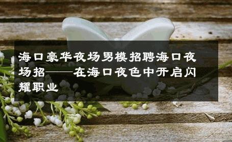 海口豪华夜场男模招聘海口夜场招——在海口夜色中开启闪耀职业 