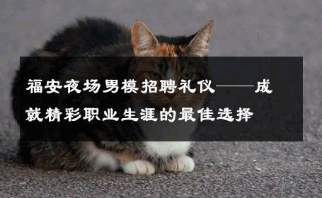 福安夜场男模招聘礼仪——成就精彩职业生涯的最佳选择 