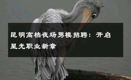 昆明高档夜场男模招聘：开启星光职业新章 