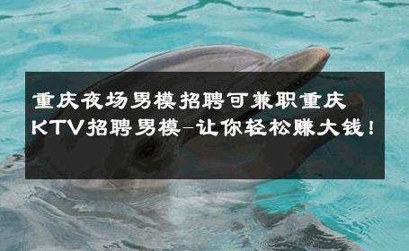 重庆夜场男模招聘可兼职重庆KTV招聘男模-让你轻松赚大钱！ 