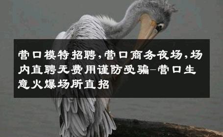 营口模特招聘,营口商务夜场,场内直聘无费用谨防受骗-营口生意火爆场所直招