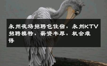永州夜场招聘包住宿，永州KTV招聘模特，薪资丰厚，机会难得