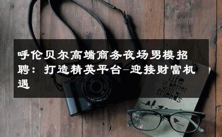 呼伦贝尔高端商务夜场男模招聘：打造精英平台-迎接财富机遇 