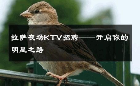 拉萨夜场KTV招聘——开启你的明星之路 