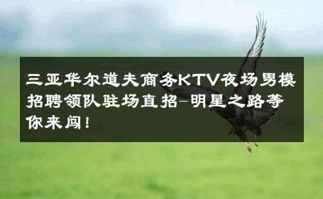 三亚华尔道夫商务KTV夜场男模招聘领队驻场直招-明星之路等你来闯！ 