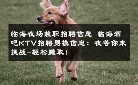 临海夜场兼职招聘信息-临海酒吧KTV招聘男模信息：夜等你来挑战-轻松赚取！ 