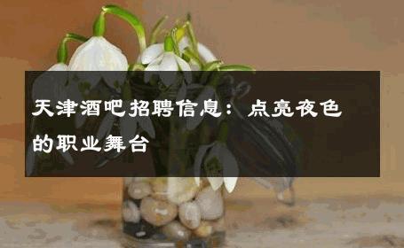 天津酒吧招聘信息：点亮夜色的职业舞台 