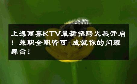 上海丽嘉KTV最新招聘火热开启！兼职全职皆可-成就你的闪耀舞台！ 