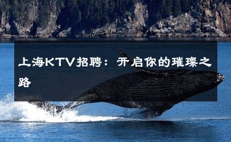 上海KTV招聘：开启你的璀璨之路 
