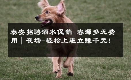 泰安招聘酒水促销-客源多无费用｜夜场-轻松上班立赚千元！ 