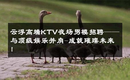 云浮高端KTV夜场男模招聘——与顶级娱乐并肩-成就璀璨未来！ 