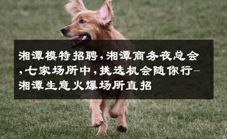 湘潭模特招聘,湘潭商务夜总会,七家场所中,挑选机会随你行-湘潭生意火爆场所直招