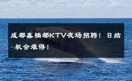 成都鑫楠都KTV夜场招聘！日结-机会难得！ 