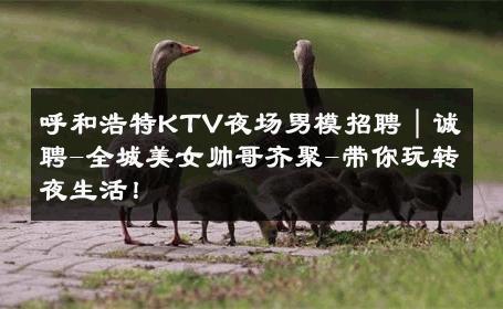 呼和浩特KTV夜场男模招聘｜诚聘-全城美女帅哥齐聚-带你玩转夜生活！ 