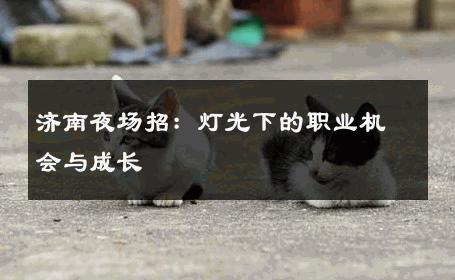 济南夜场招：灯光下的职业机会与成长 