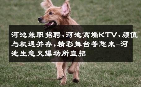 河池兼职招聘,河池高端KTV,颜值与机遇并存,精彩舞台等您来-河池生意火爆场所直招