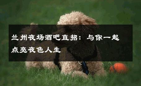 兰州夜场酒吧直招：与你一起点亮夜色人生 