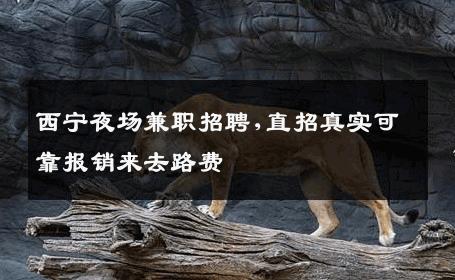 西宁夜场兼职招聘,直招真实可靠报销来去路费 