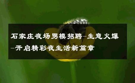 石家庄夜场男模招聘-生意火爆-开启精彩夜生活新篇章 