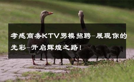 孝感商务KTV男模招聘-展现你的光彩-开启辉煌之路！ 