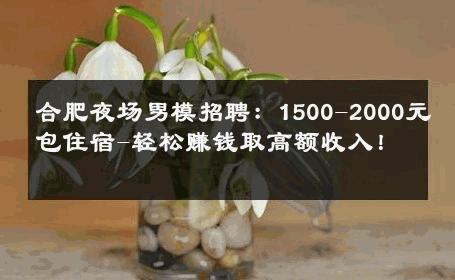 合肥夜场男模招聘：1500-2000元包住宿-轻松赚钱取高额收入！ 