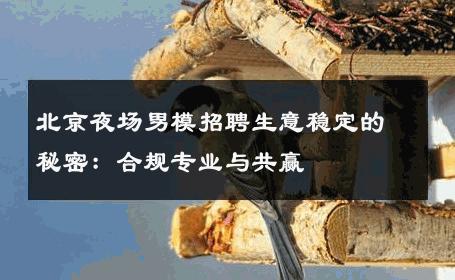 北京夜场男模招聘生意稳定的秘密：合规专业与共赢 