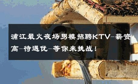 浦江最火夜场男模招聘KTV-薪资高-待遇优-等你来挑战！ 