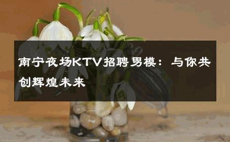 南宁夜场KTV招聘男模：与你共创辉煌未来 