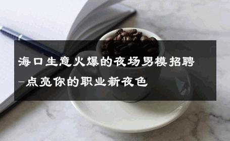 海口生意火爆的夜场男模招聘-点亮你的职业新夜色 