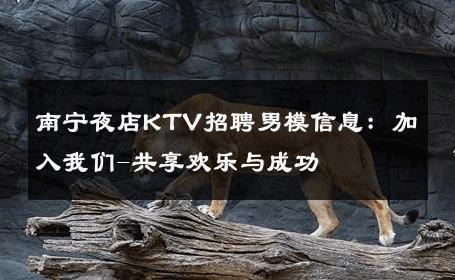 南宁夜店KTV招聘男模信息：加入我们-共享欢乐与成功 