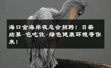 海口金海岸夜总会招聘！日薪结算-包吃住-绿色健康环境等你来！ 