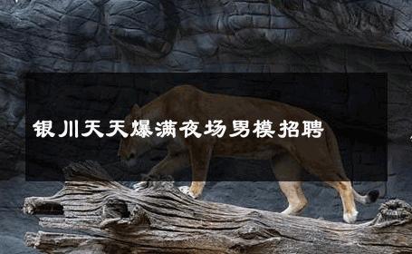 银川天天爆满夜场男模招聘 