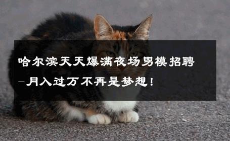 哈尔滨天天爆满夜场男模招聘-月入过万不再是梦想！ 
