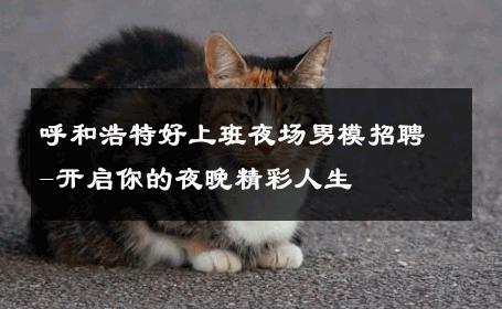 呼和浩特好上班夜场男模招聘-开启你的夜晚精彩人生 