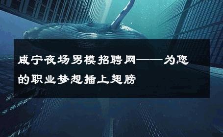 咸宁夜场男模招聘网——为您的职业梦想插上翅膀 