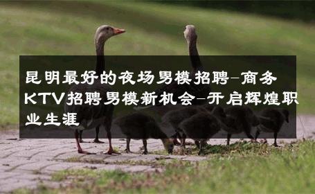 昆明最好的夜场男模招聘-商务KTV招聘男模新机会-开启辉煌职业生涯 