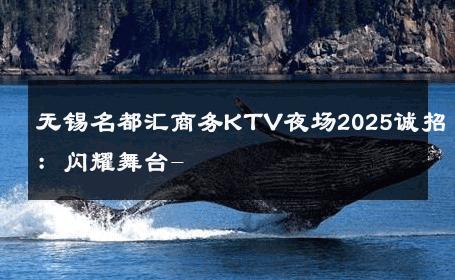 无锡名都汇商务KTV夜场2025诚招：闪耀舞台- 