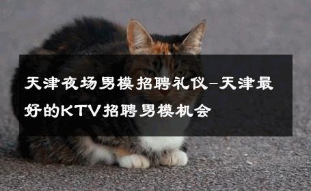 天津夜场男模招聘礼仪-天津最好的KTV招聘男模机会 