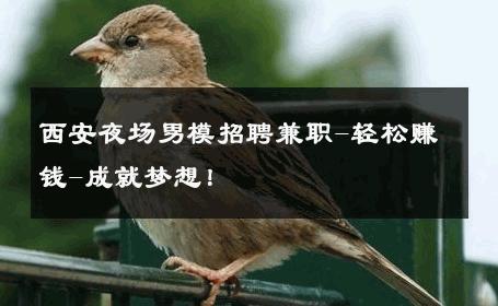 西安夜场男模招聘兼职-轻松赚钱-成就梦想！ 