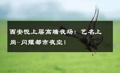 西安悦上层高端夜场：艺名上岗-闪耀都市夜空！ 