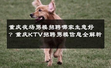 重庆夜场男模招聘哪家生意好？重庆KTV招聘男模信息全解析 