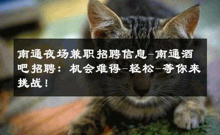 南通夜场兼职招聘信息-南通酒吧招聘：机会难得-轻松-等你来挑战！ 
