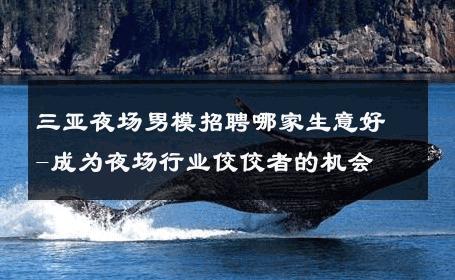 三亚夜场男模招聘哪家生意好-成为夜场行业佼佼者的机会 