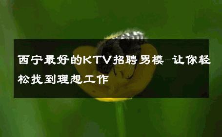 西宁最好的KTV招聘男模-让你轻松找到理想工作 