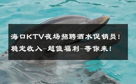 海口KTV夜场招聘酒水促销员！稳定收入-超值福利-等你来！ 