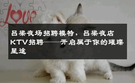 吕梁夜场招聘模特，吕梁夜店KTV招聘——开启属于你的璀璨星途