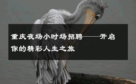 重庆夜场小时场招聘——开启你的精彩人生之旅 